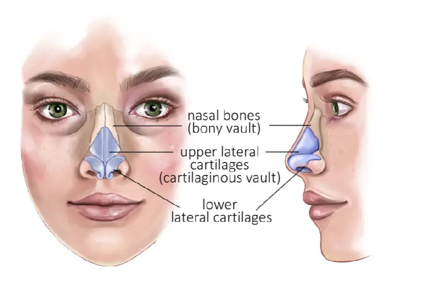 PROCEDURE OF THE WEEK: Nasal Surgery (Rhinoplasty)